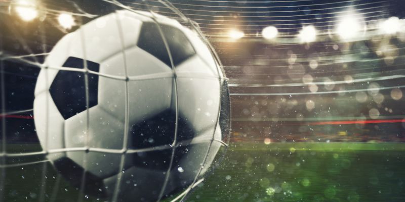 Vai trò của nhà cái